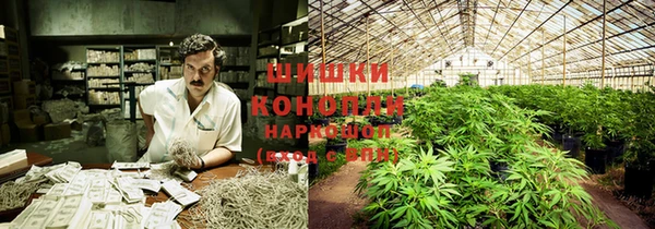 Альфа ПВП Карпинск