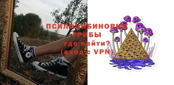 таблы Краснослободск