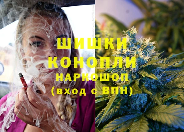 МДПВ Каменск-Шахтинский