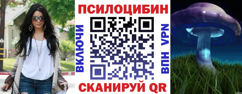 купить закладку  Качканар  Псилоцибиновые грибы мухоморы 