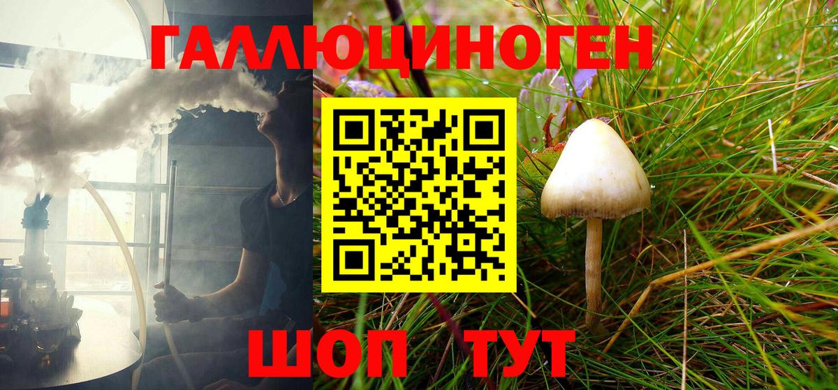 Галлюциногенные грибы MAGIC MUSHROOMS  Качканар  Галлюциногенные грибы мицелий 