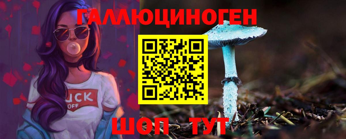 Качканар  Псилоцибиновые грибы ЛСД  Вход с VPN 